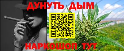 ешки Кингисепп