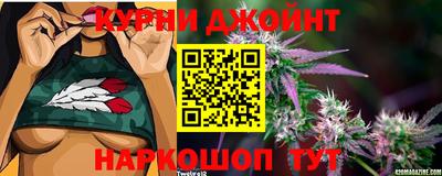 ешки Кингисепп