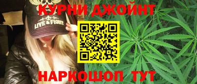 ешки Кингисепп