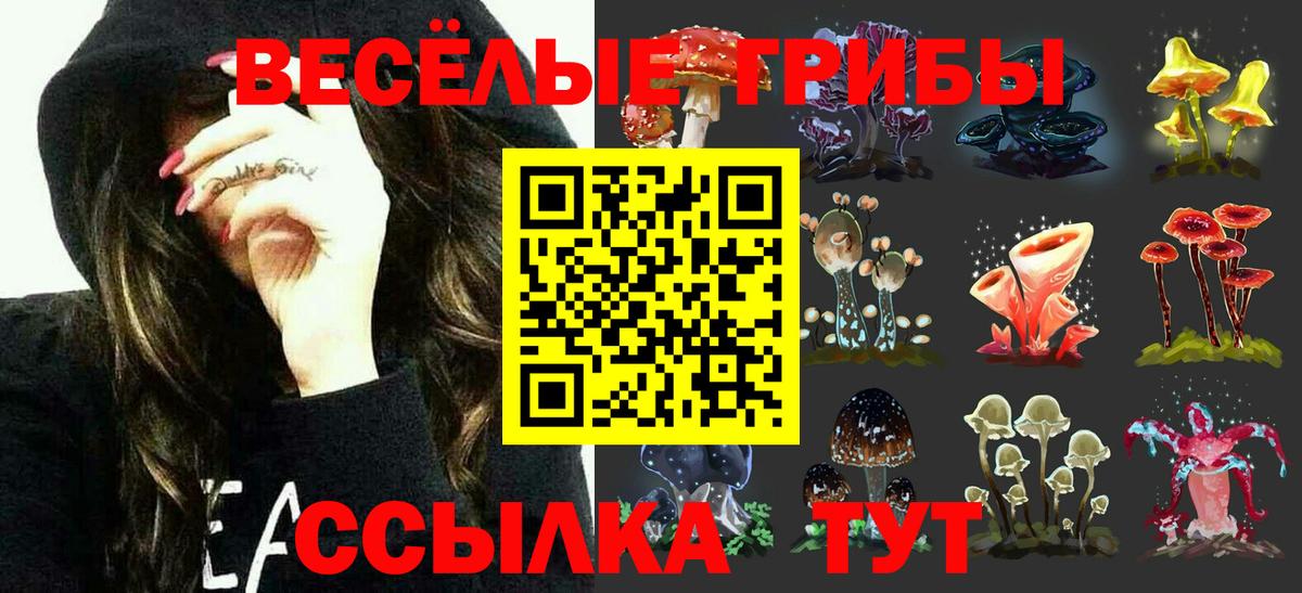 Псилоцибиновые грибы мухоморы Шатура