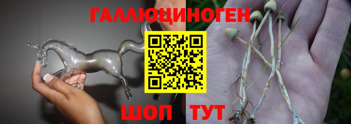 Псилоцибиновые грибы GOLDEN TEACHER  Вход с VPN  Шатура  Галлюциногенные грибы Cubensis 